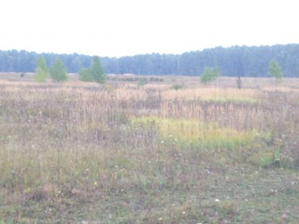 ������ ��������� ������� �� 100 �� �� ���� �� ���� ���������� ����� (���� �4)