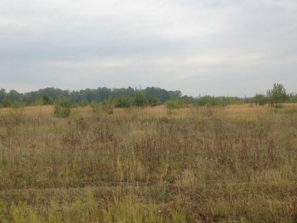 ������ ��������� ������� �� 100 �� �� ���� �� ���� ���������� ����� (���� �3)