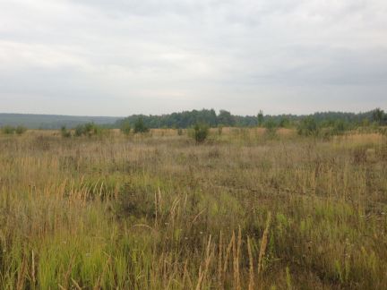 ������ ��������� ������� �� 100 �� �� ���� �� ���� ���������� ����� (���� �2)