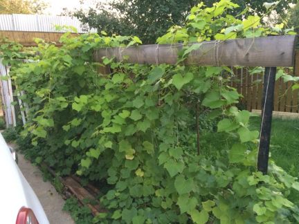 ������ ��������� ������� � ����� �������� ������ ��������� (���� �8)