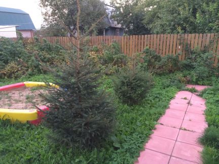 ������ ��������� ������� � ����� �������� ������ ��������� (���� �5)