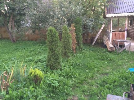 ������ ��������� ������� � ����� �������� ������ ��������� (���� �6)