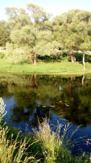 ������ ��������� ������� �����������.���. ��������. (���� �6)