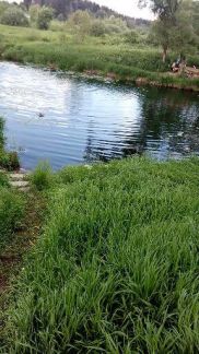 ������ ��������� ������� �����������.���. ��������. (���� �7)