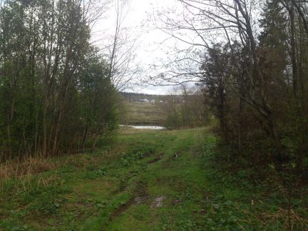 ������ ��������� ������� � ��� ����� (���� �4)