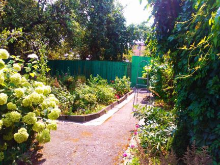 ������ ��� ���������� ���. ����������� �-� �. ������ ��. 2-� ���������13 (���� �5)