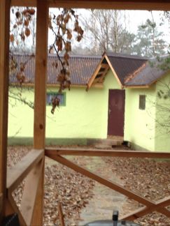 ������ ��� �������� (���� �9)