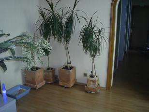 ������ ���������������� �������� � ������ (���� �3)