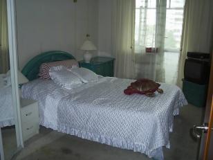 ������ ���������������� �������� � ������ (���� �5)