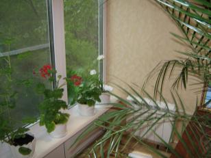 ���� ������� ������� (���� �5)