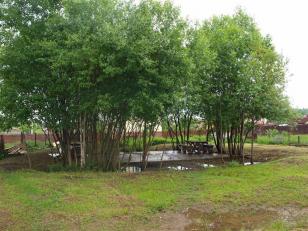 ������ ��� � ��������� �������� (���� �3)