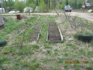 ������ ���� �������������� ����� (���� �11)