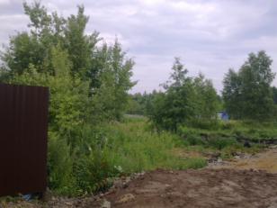 ������ ���� � �������� (���� �2)