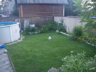 ���� ����������� ����� ������� (���� �6)