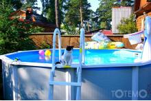 ���� ����������� ����� ������� (���� �8)