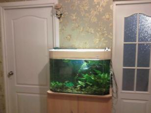 ������ �������� ����� ����� ������� (���� �19)