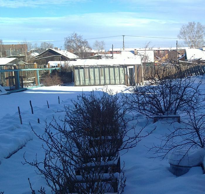 ������ ��� ��������������� ����� (���� �5)