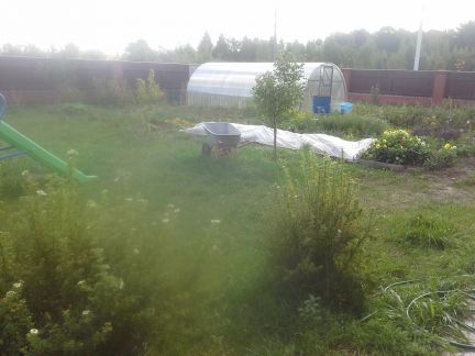 ������ ��� �� 75 �� �� ���� ����� ��������� (���� �10)