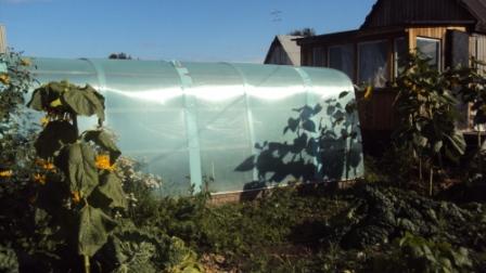 ������ ��� ���� �������� (���� �7)