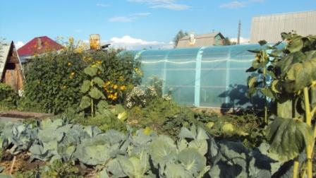 ������ ��� ���� �������� (���� �10)