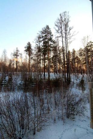 � ������� ������� ������� � ������������ ������ (���� �3)