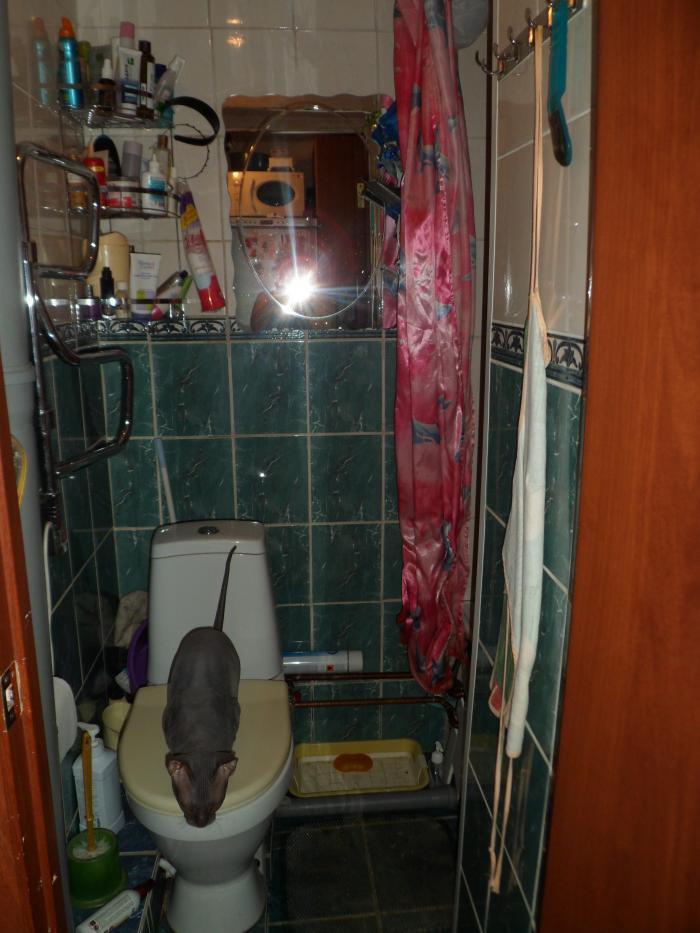 ������ ������ � �������� � �������� (���� �5)