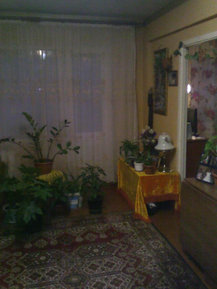 ������ �������� ��� ������� ������� (���� �5)