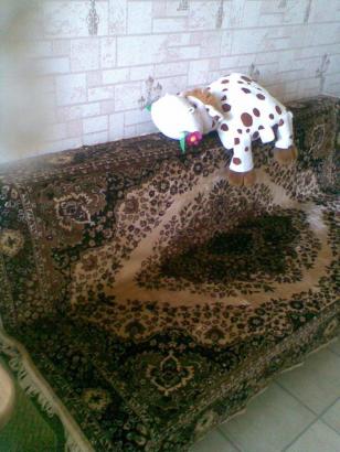 ����� �������� ������ �� ���� ��� ����������� (���� �7)