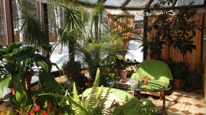 ��� � �������� ����������� ����� (���� �7)