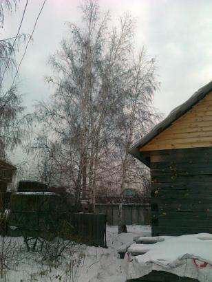 ����������� ������ (���� �4)