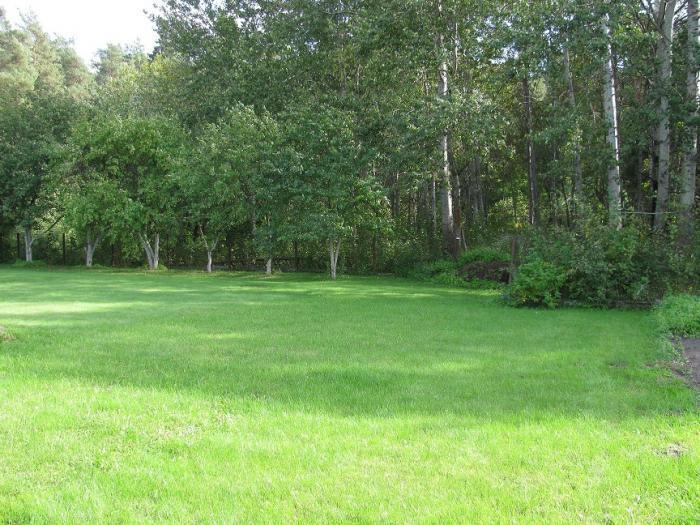 ������ ��� � ��������� ������ ��� ����������� (���� �2)