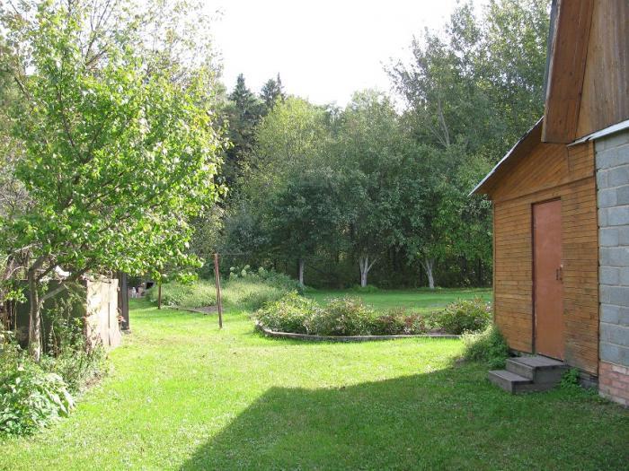 ������ ��� � ��������� ������ ��� ����������� (���� �3)