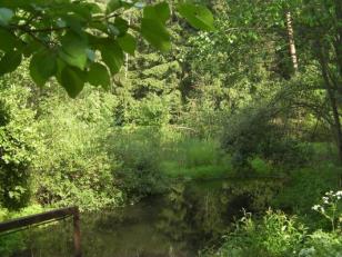 ������ ��� � ��������� ������ ��� ����������� (���� �6)