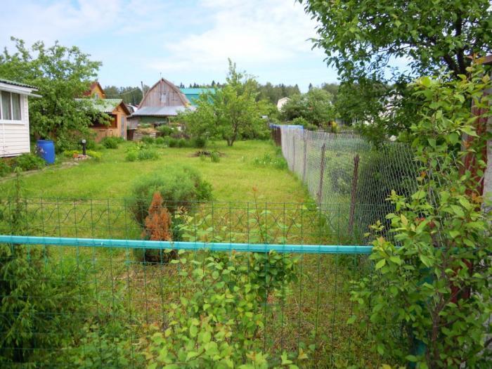 ������ ���� � ���������� ������ ���������� ������� (���� �3)