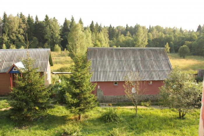 ������ ��� � �������� � ���������� ������ (���� �11)