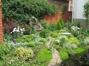 ������ ��� � ���������� ��� ����������� (���� �5)