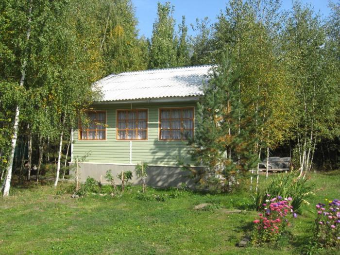 ������ ���� � ��������� ������ (���� �2)