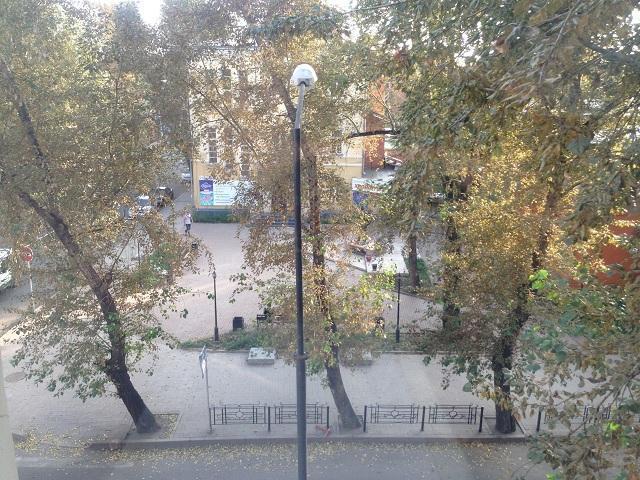 ������� ������� ������� (���� �13)