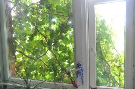 4 � ��������� �������� ��������� (���� �5)