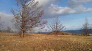 ��������� ������� ������ (���� �3)