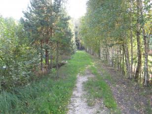 ������ ���� � ��������� ������ ���������� ������� (���� �5)