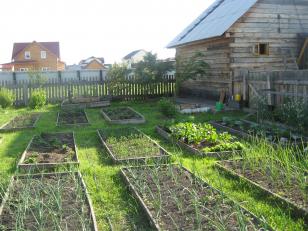 ������ ��� � �������� ������� (���� �10)