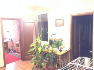 ������� ��������� (���� �11)