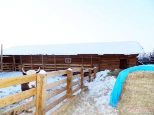 ������ ��������� ������� � �������� (���� �2)