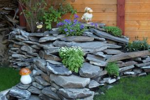 ������ ��� � ��������� �������� (���� �4)