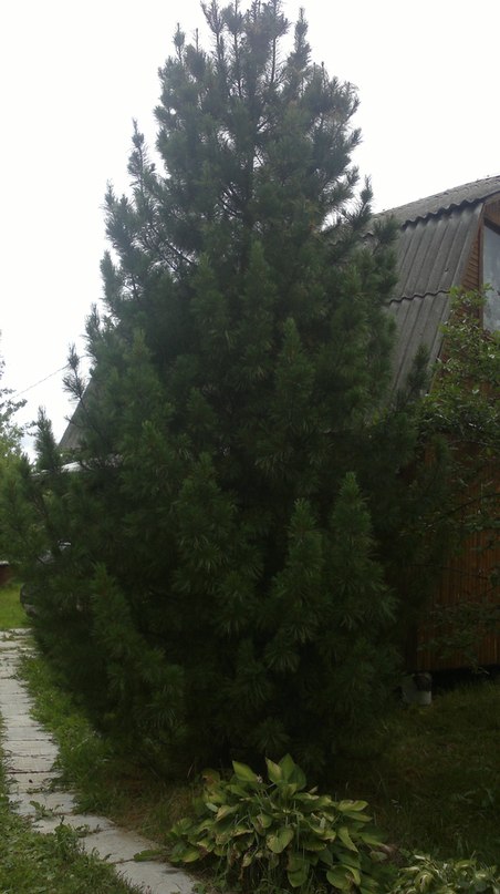 ����� ���� � ������� �������� ������ (���� �4)