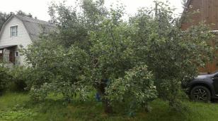 ����� ���� � ������� �������� ������ (���� �5)