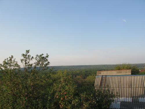 ������ ���� � ����� (���� �8)