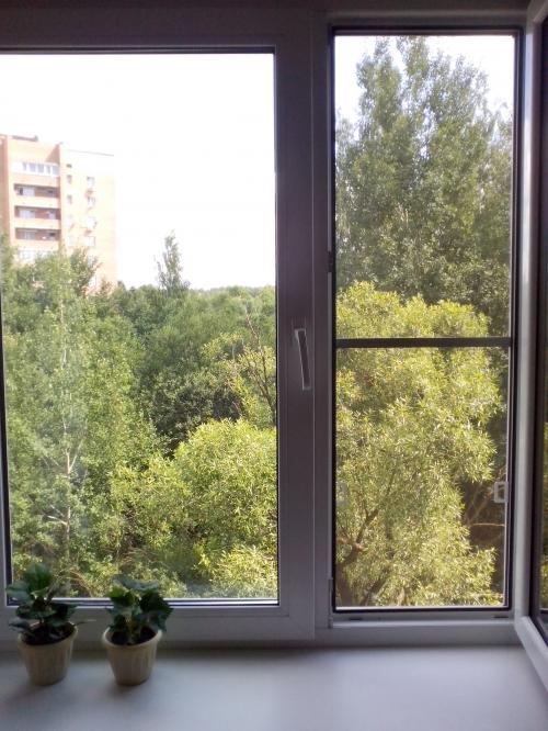 ������ ������������� �������� ��������� (���� �5)