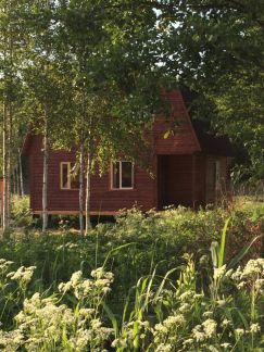 ������ ��������� ������� ���������� ����� ������� �������� ��� ���� (���� �13)